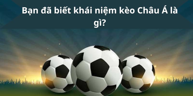 Kèo Châu Á Là Gì? Kiến Thức Cơ Bản Dành Cho Tân Thủ 2 Kèo Châu Á Là Gì? Kiến Thức Cơ Bản Dành Cho Tân Thủ